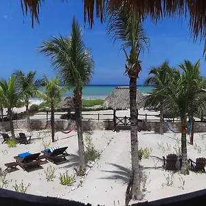 guesthouse-holbox-apartments.quintano-roohotels.com/